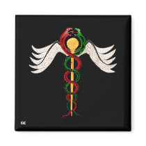 The Caduceus Refrigerator Magnets
