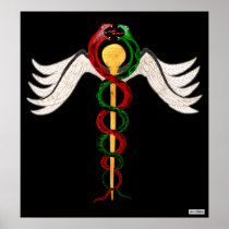 The Caduceus Print