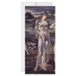 The Calling Of Perseus (The Perseus Cycle 1) Rack Card