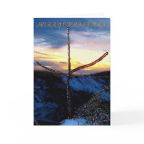 THE CALM BETWEEN THE STORMS GREETING CARDS