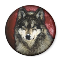 The Calm Wolf Refrigerator Magnets