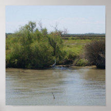 The Camargue - Posters