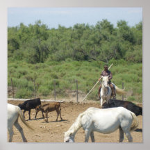 The Camargue - Posters