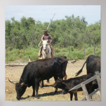 The Camargue - Print