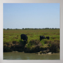 The Camargue - Print