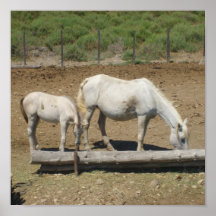 The Camargue - Print