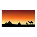 The Camel secrets posters