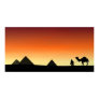 The Camel secrets