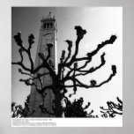 The Campanile from Plaza, UC Berkeley, 1964 posters