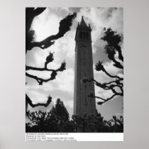 The Campanile, UC Berkeley, 1965 Posters