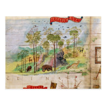 The Canadian Forest Postcards