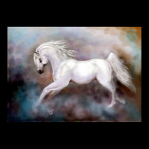 The Canter Framed Print posters