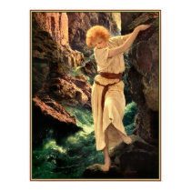 The Canyon posters