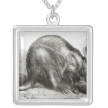 The Cape Ant-Eater Jewelry