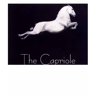 The Capriole t-shirt by cleverunderpressure