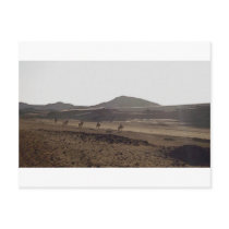 The caravan keeps moving postcards