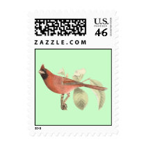 The Cardinal Grosbeak	(Pitylus cardinalis) Stamp