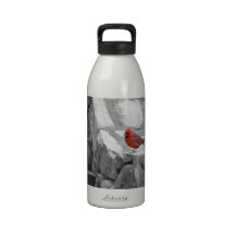 The Cardinal Picture Reusable Water Bottle