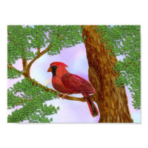 The cardinal posters by Winter The cardinal posters
