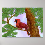The cardinal posters