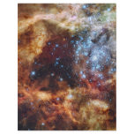 The Carina Nebula Flyer