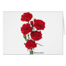 THE CARNATION ANDALUSIAN CARDS