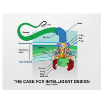 The Case For Intelligent Design (Flagellum) letterhead