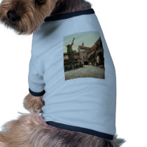 The Castle court, Nuremberg, Bavaria, Germany rare Dog T-shirt