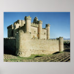 The castle poster