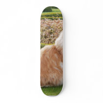 The Cat At Wimpole Hall Cambs skateboards by lifesphere The Cat At Wimpole Hall Cambs skateboards