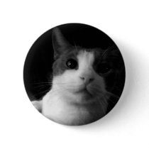 The Cat buttons by bd5178 The Cat buttons