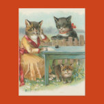 the cat family, vintage image, cats, kitten,