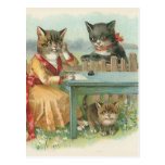 "The Cat Family" Vintage Postcard