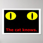 The Cat Knows poster