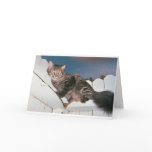 The cat misses you, too. cards
