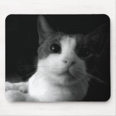 The Cat mousepad