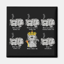 The Cat Refrigerator Magnets