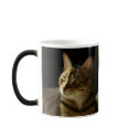 The cat who wasn't there ~ and then was! mugs