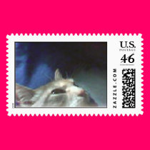 the cat with extra terrestrial eyes postage