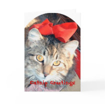 The Catnip Papers: Catnip Greetings! cards
