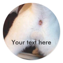 The cat's ass sticker template