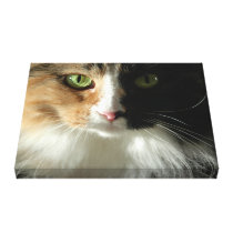 The Cat's Eyes Gallery Wrapped Canvas