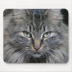 The Cats Eyes Have It mousepad