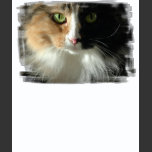 The Cat's Eyes