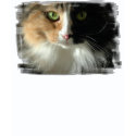The Cat's Eyes t-shirts