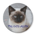 THE CATS MEOW magnets