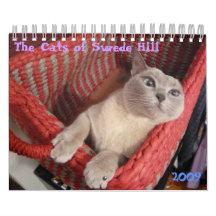 The Cats of Swede Hill, 2009 Calendars
