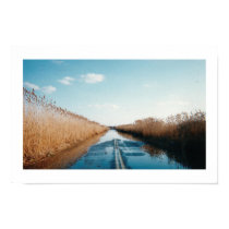 The Causeway posters
