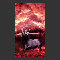 The Centaur posters