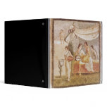 The Centocelle Mosaic binders